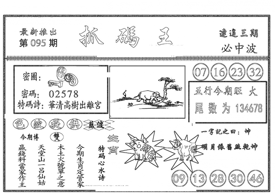 六合彩095期抓码王(黑白)
