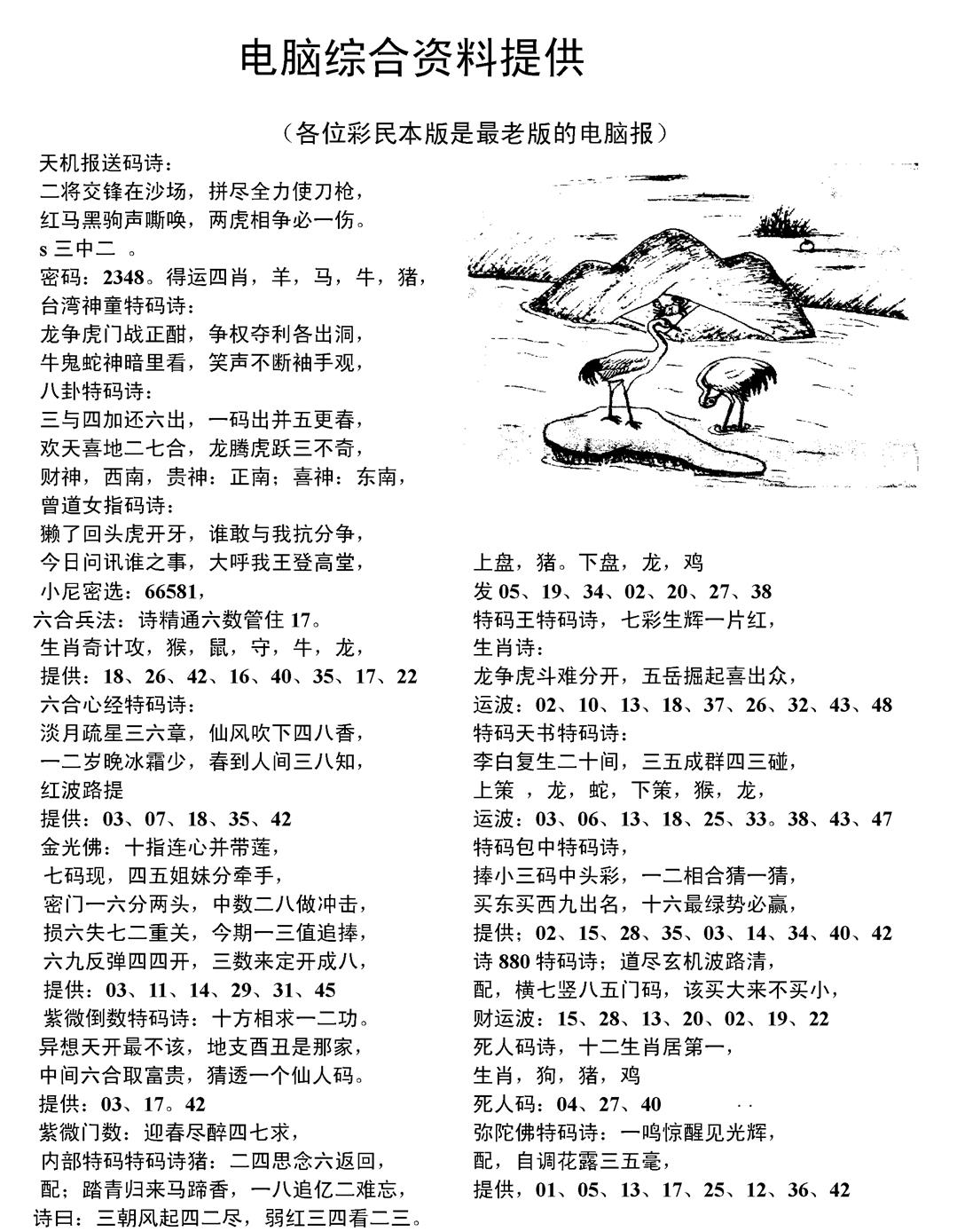 六合彩095期当日电脑综合资料C(黑白)