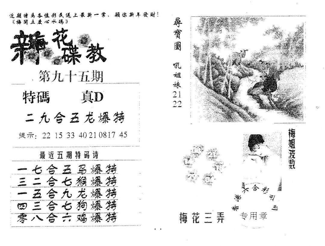 六合彩095期新花碟教(黑白)
