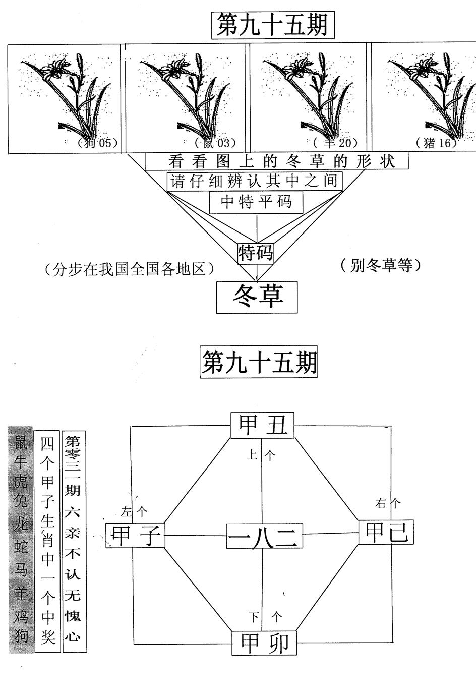 六合彩095期每期一花草(黑白)