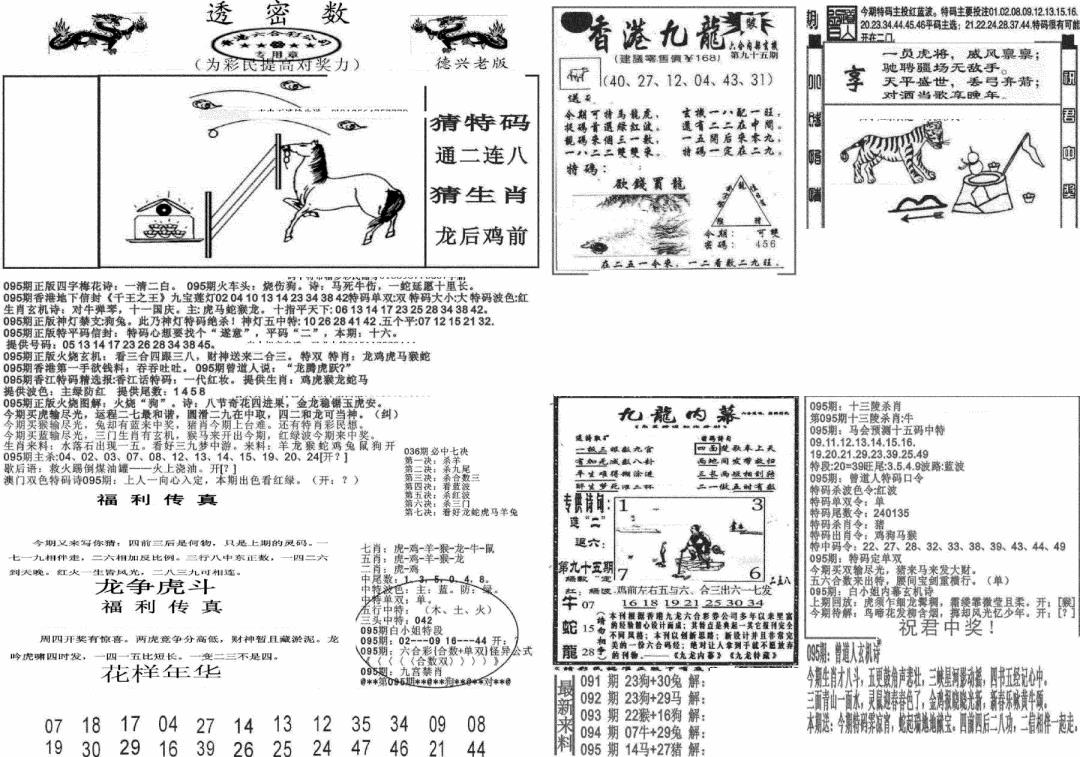 六合彩095期新透密数A(新)(黑白)