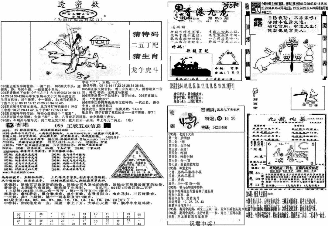 六合彩095期新透密数B(新)(黑白)