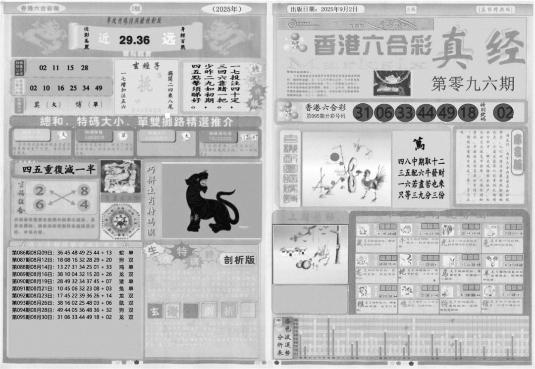 六合彩096期真经A(黑白)
