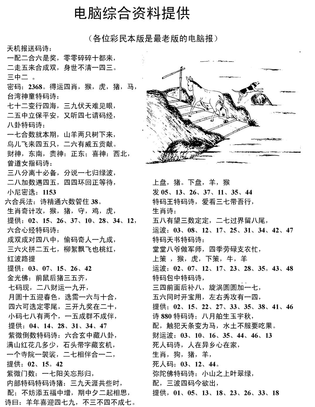 六合彩096期当日电脑综合资料C(黑白)