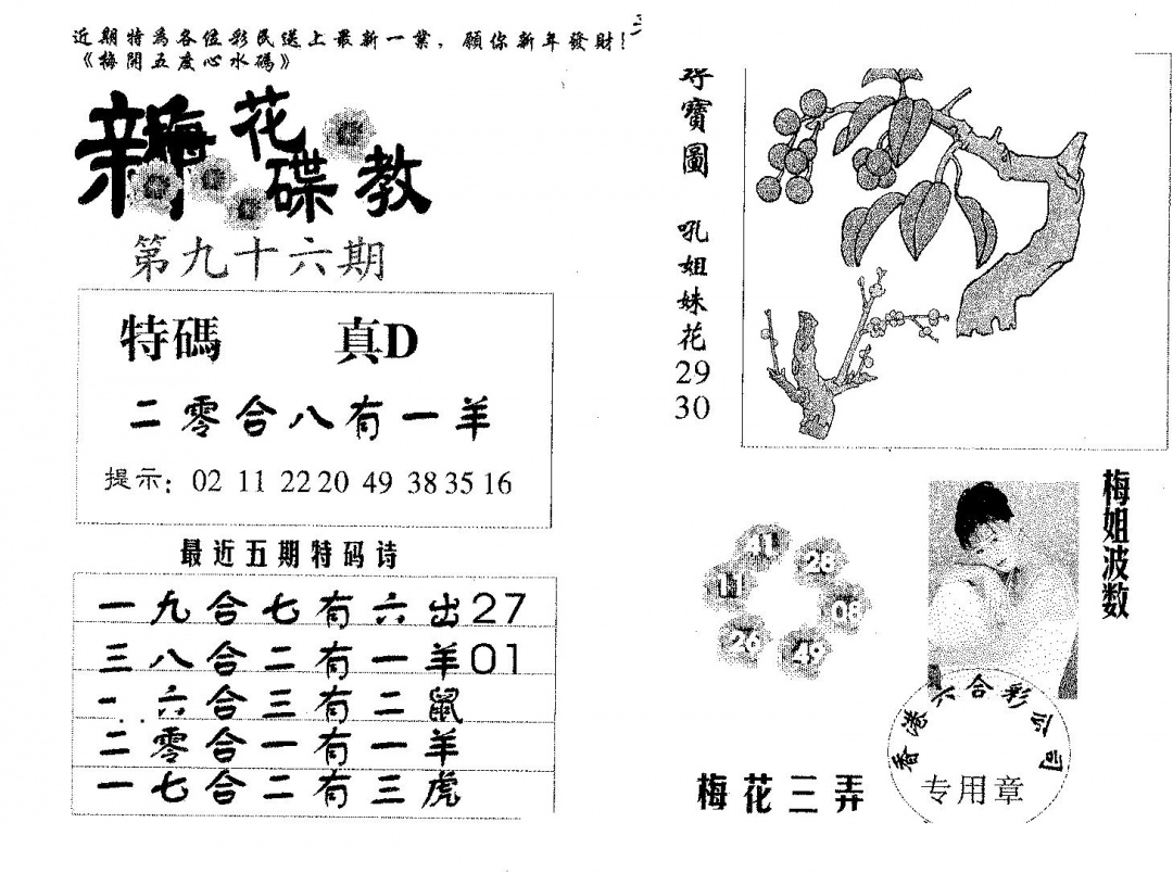 六合彩096期新花碟教(黑白)