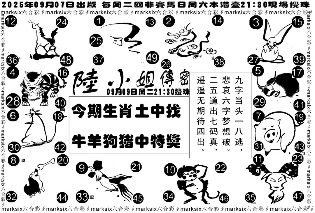 六合彩098期陆小姐传密B(黑白)