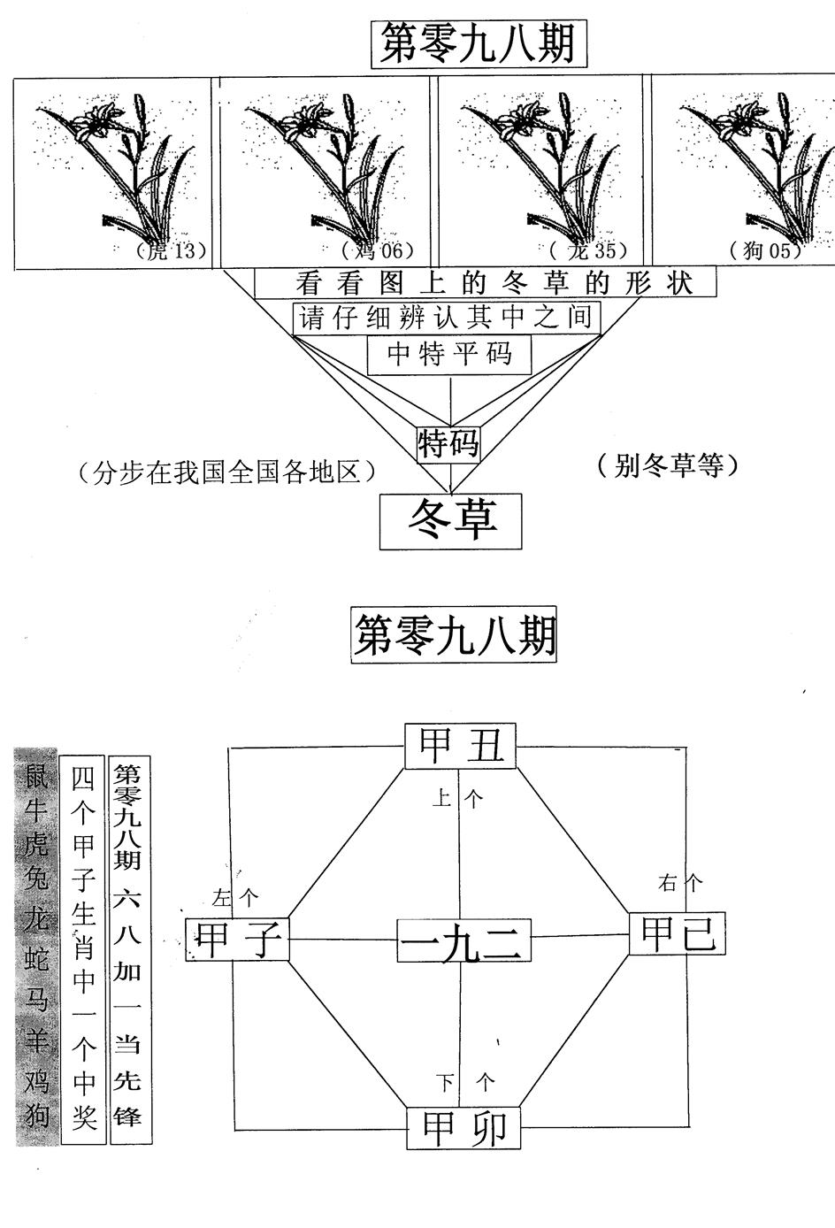 六合彩098期每期一花草(黑白)