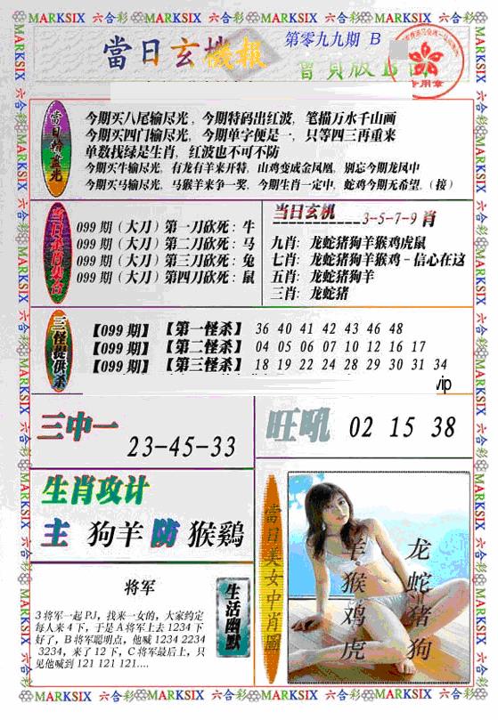 六合彩099期当日特码玄机B(新)(黑白)
