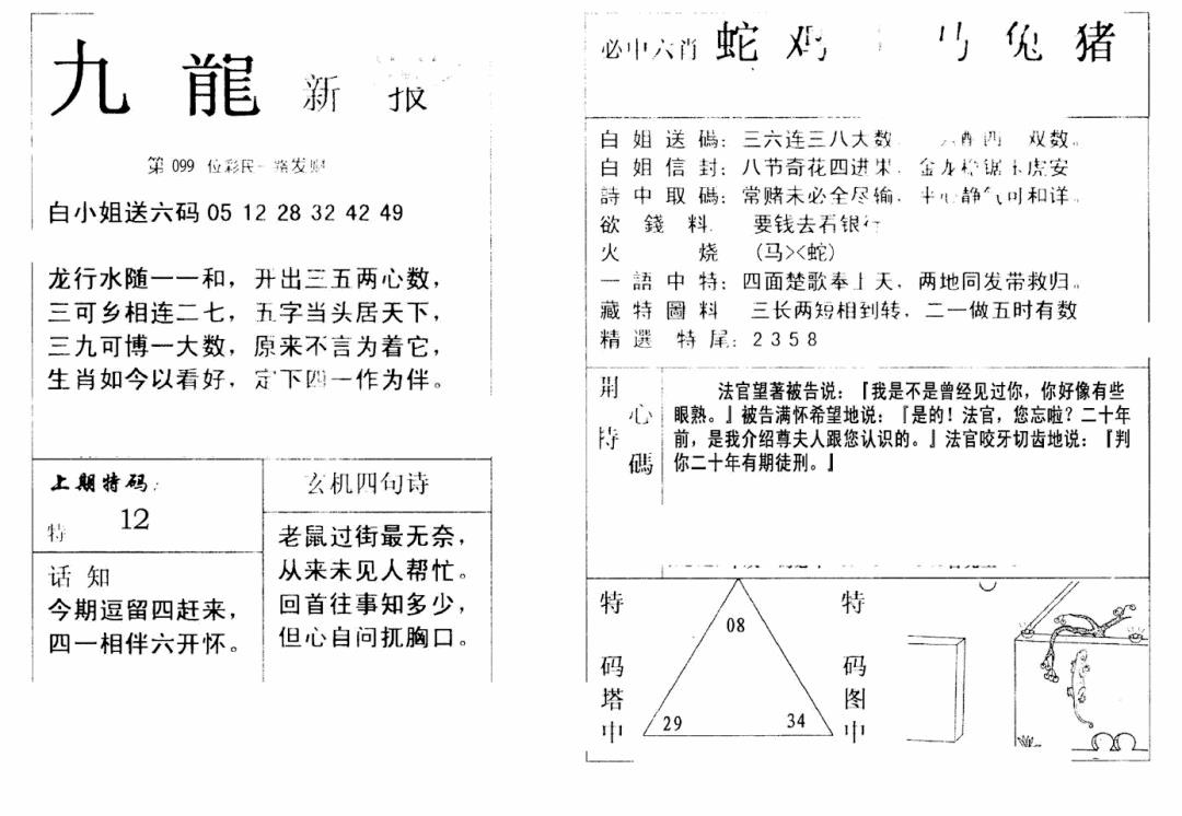 六合彩099期九龙新报(新)(黑白)