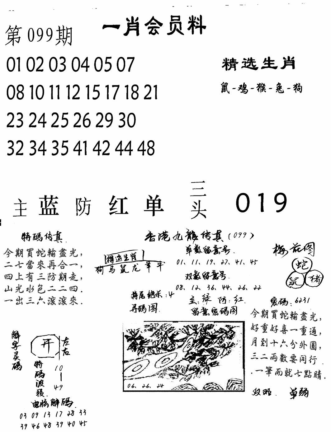 六合彩099期一肖会员料(黑白)