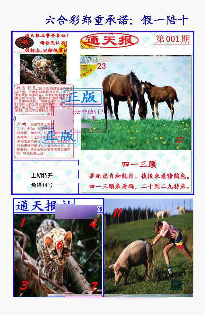六合彩001期假一陪十通天报