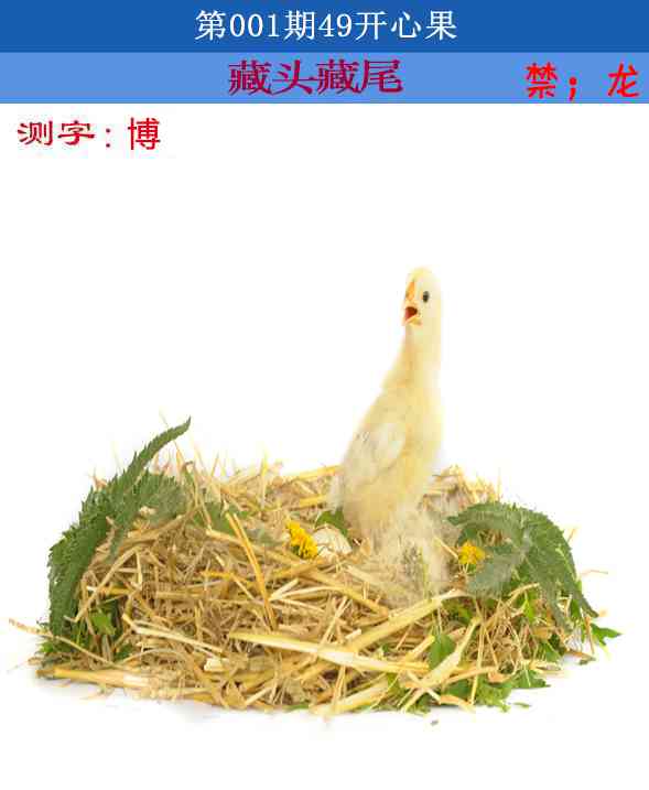 六合彩001期四九开心果