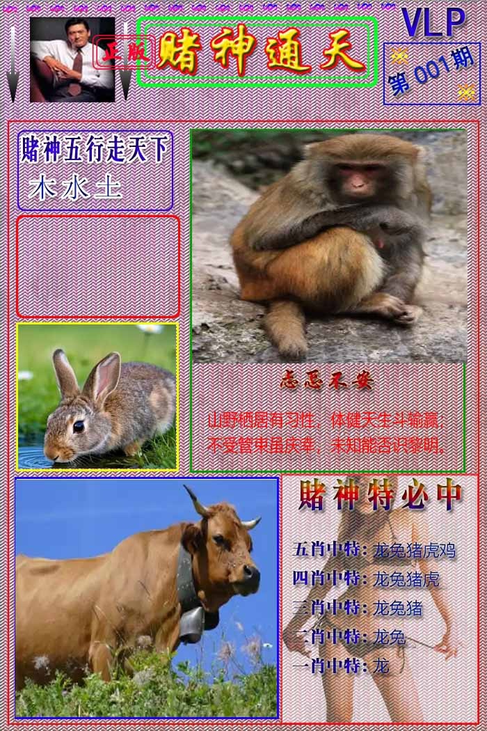 六合彩001期赌神通天报