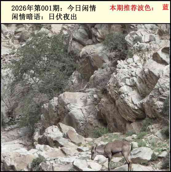 六合彩001期今日闲情2