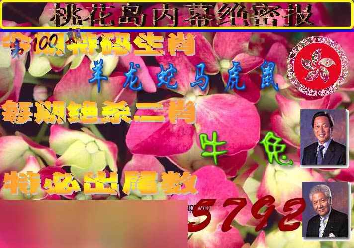 六合彩100期桃花岛内幕报