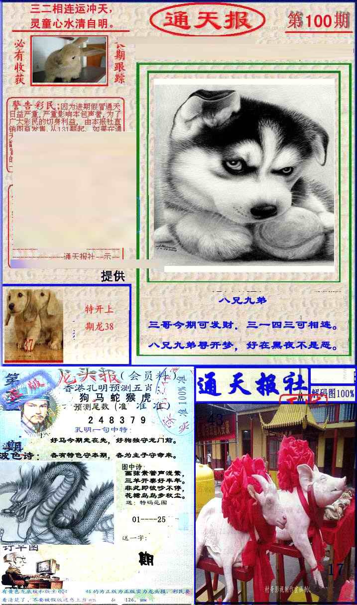 六合彩100期实力通天报