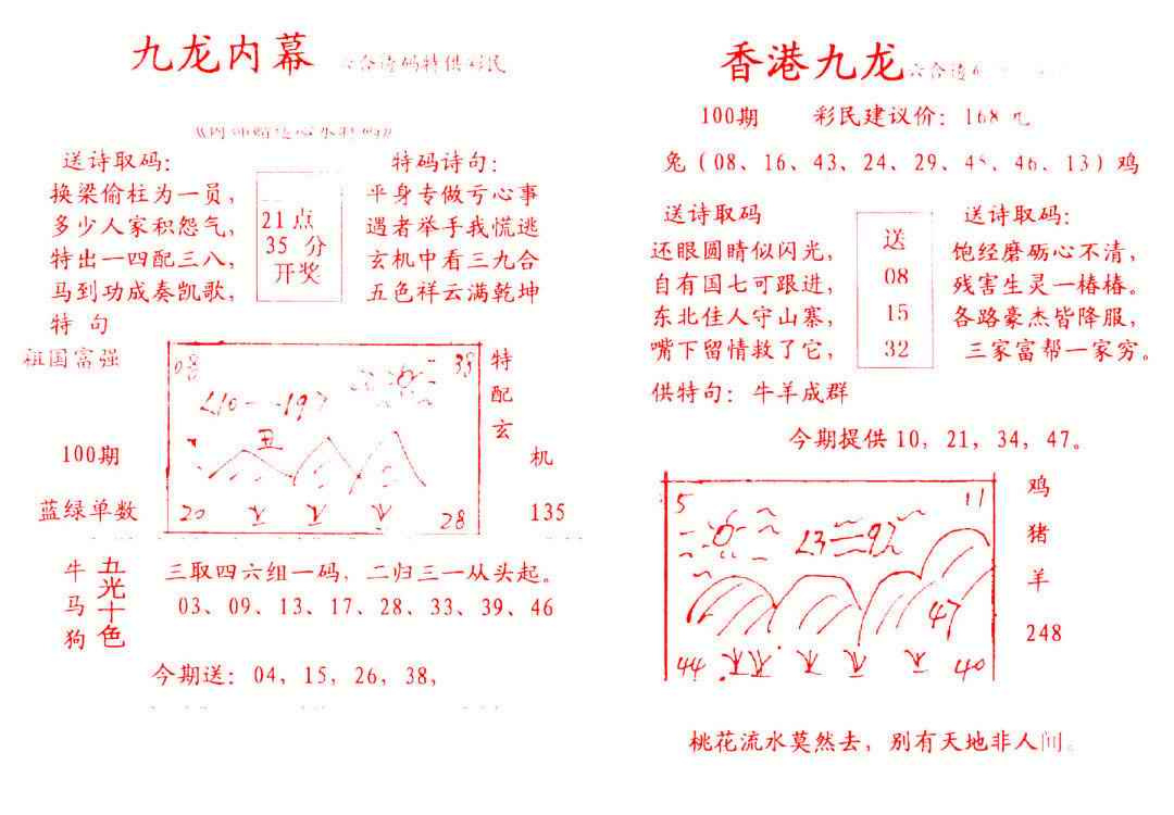 六合彩100期九龙内幕