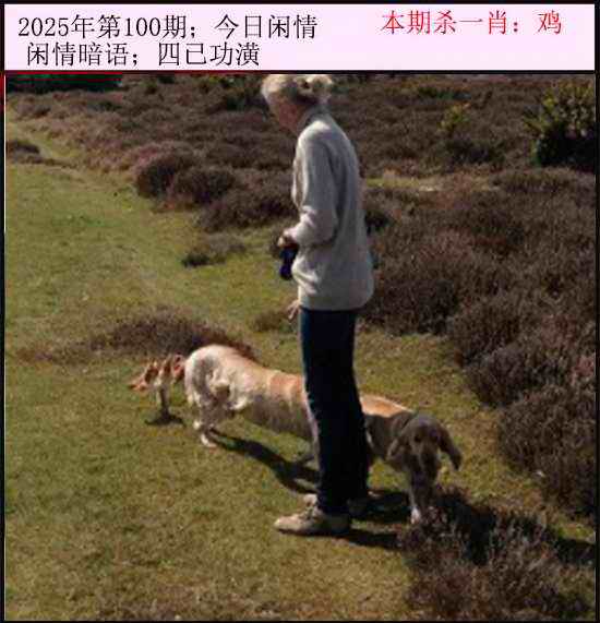六合彩100期今日闲情