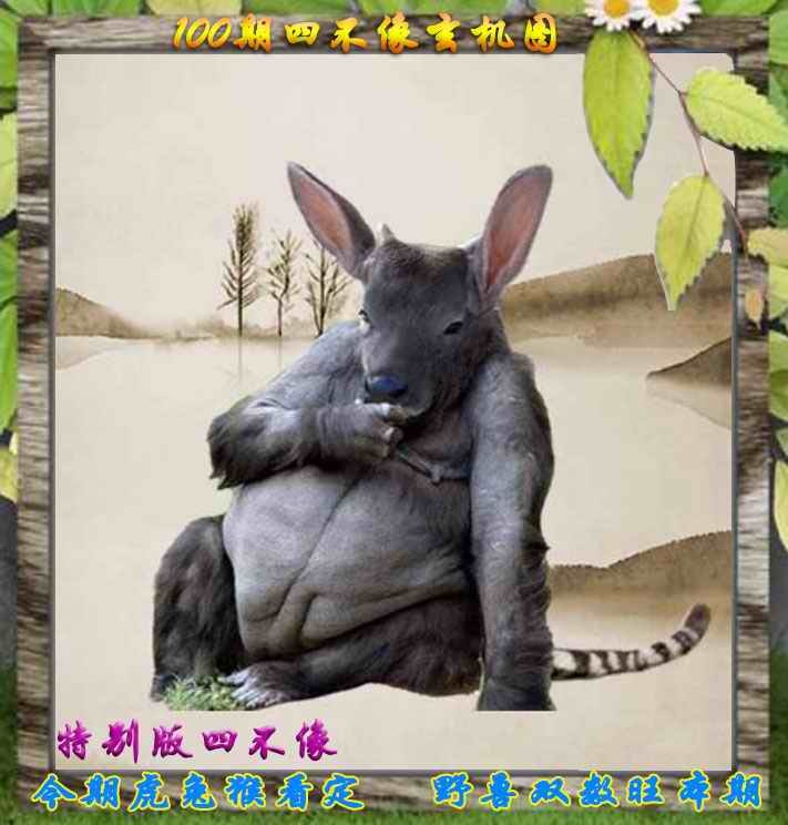 六合彩100期四不像特别版