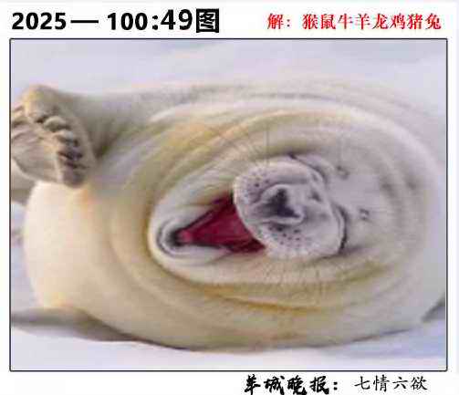 六合彩100期49图