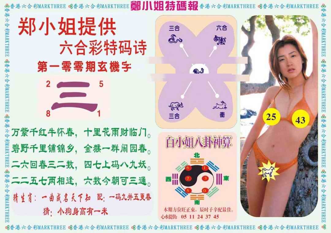 六合彩100期郑小姐特码报B