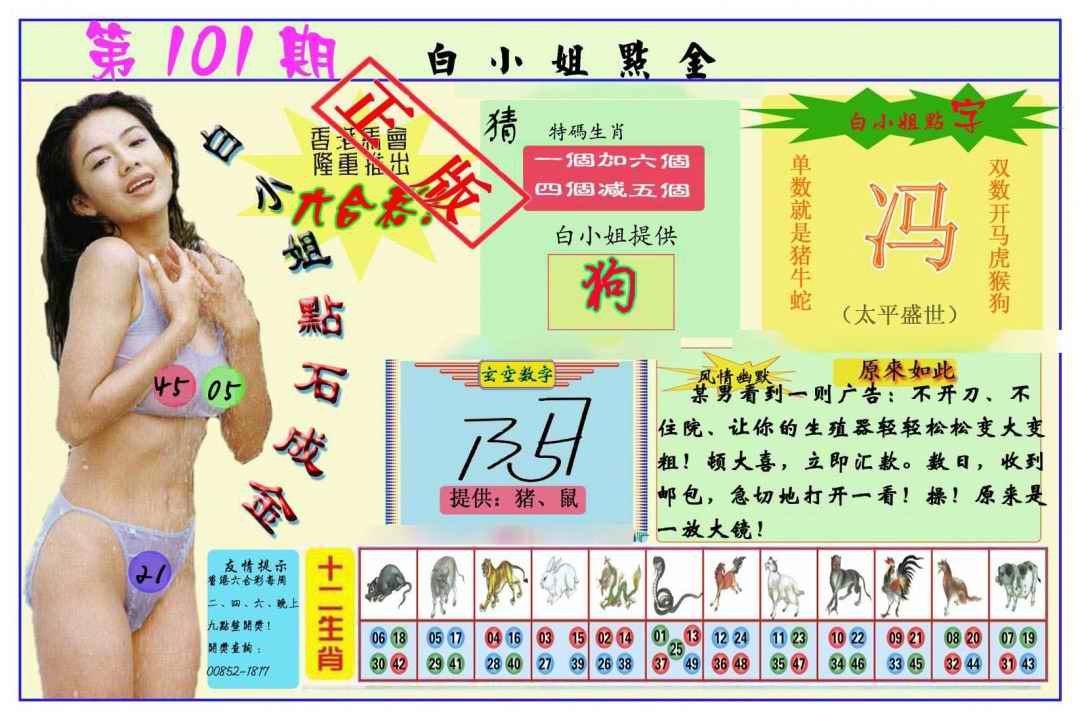 六合彩101期白小姐点金