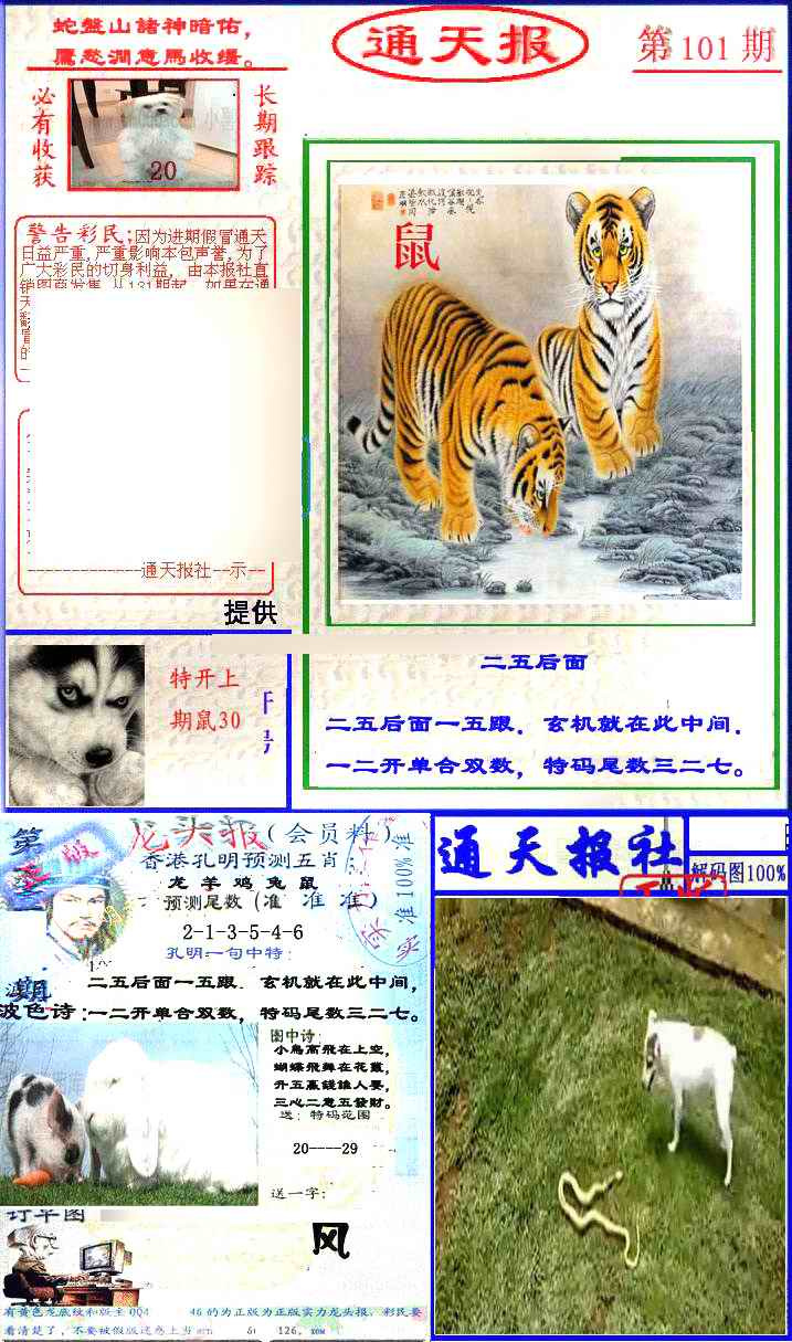 六合彩101期实力通天报