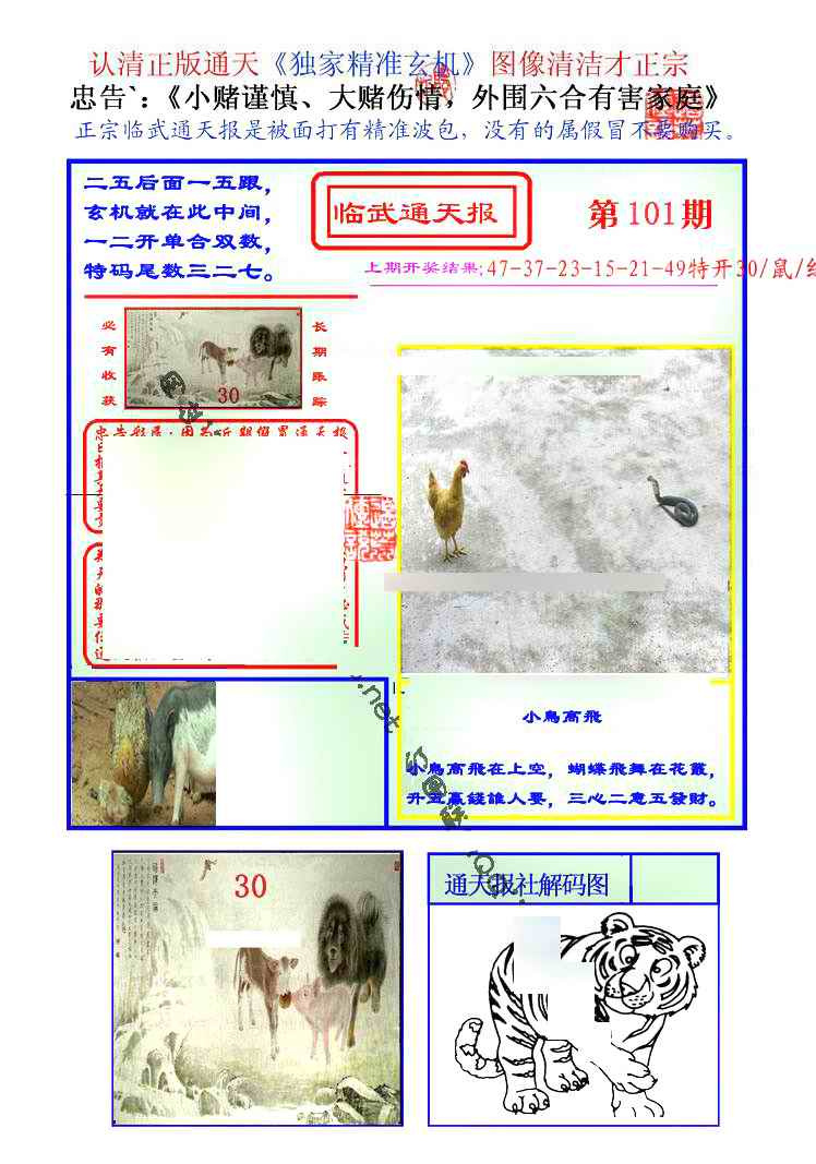 六合彩101期临武通天报
