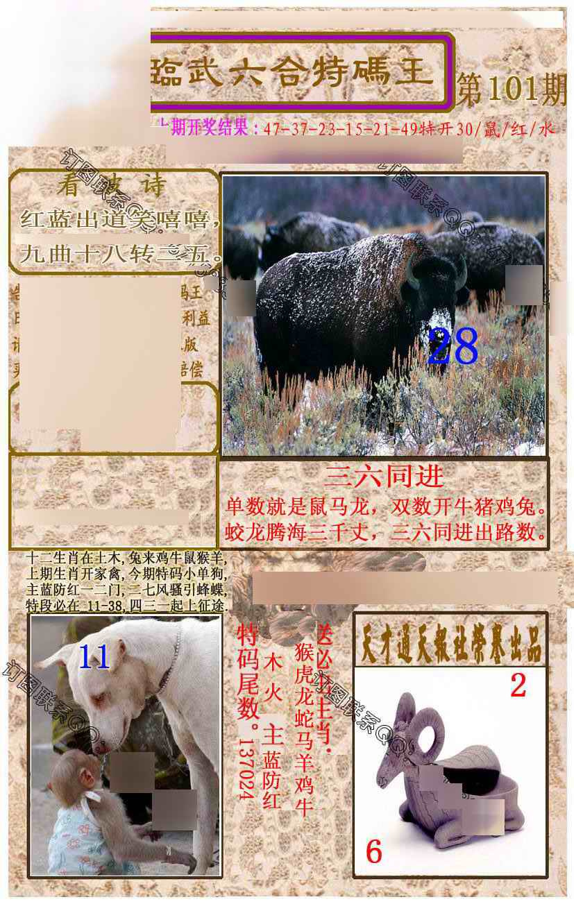 六合彩101期临武六合特码王