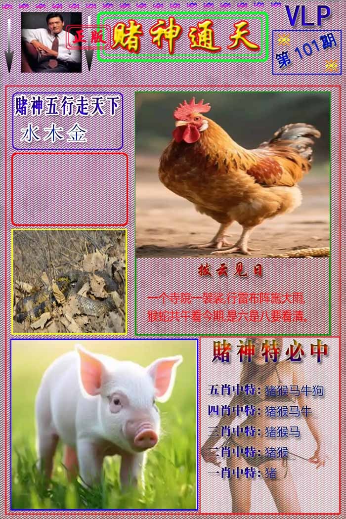 六合彩101期赌神通天报