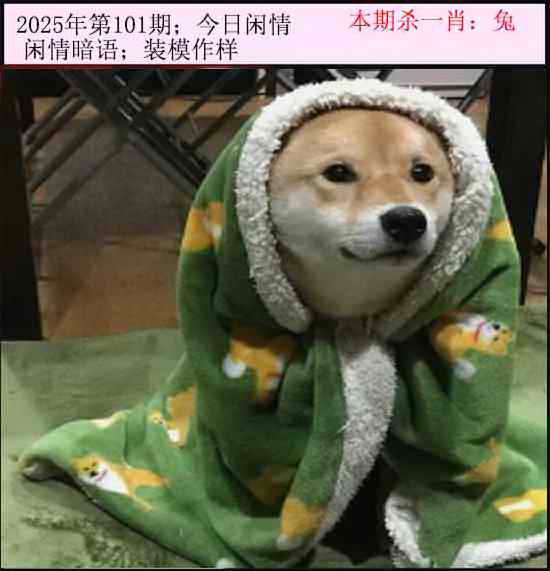 六合彩101期今日闲情