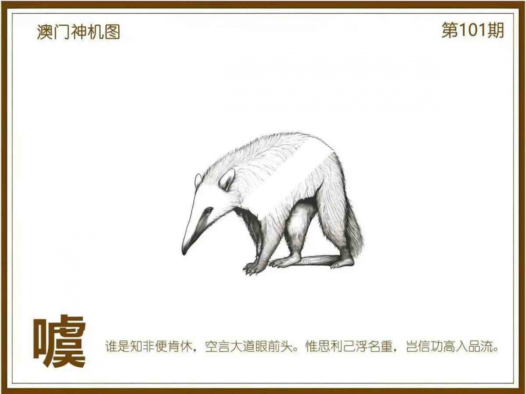 六合彩101期澳门神机图