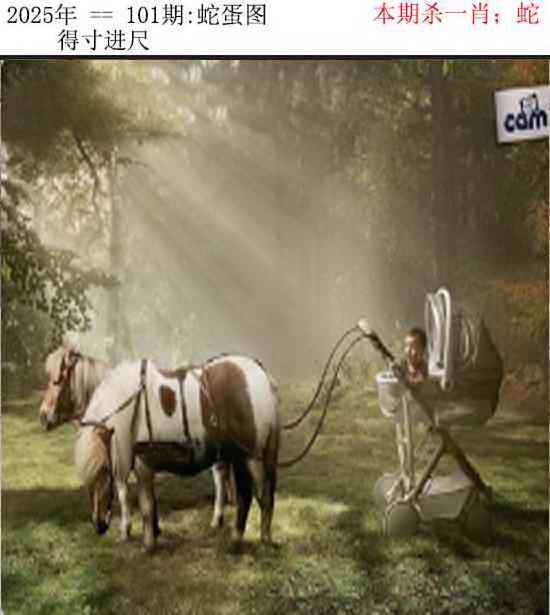 六合彩101期正版蛇蛋图