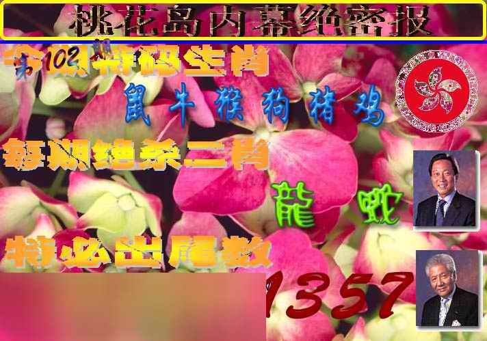 六合彩102期桃花岛内幕报