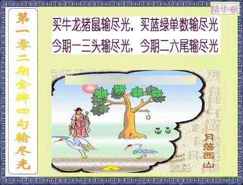 六合彩102期金牌四句输尽光
