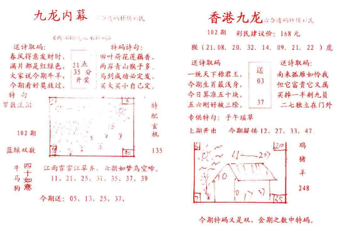 六合彩102期九龙内幕