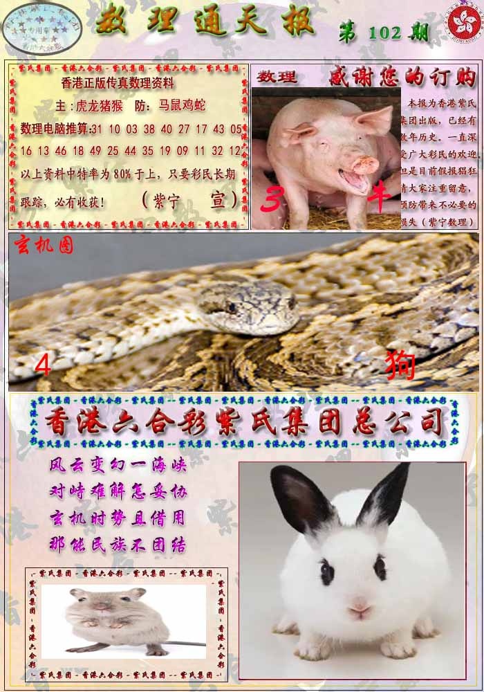 六合彩102期数通报