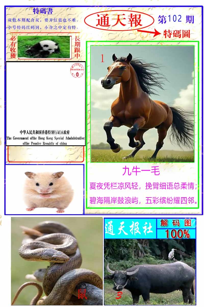 六合彩102期通天特解图