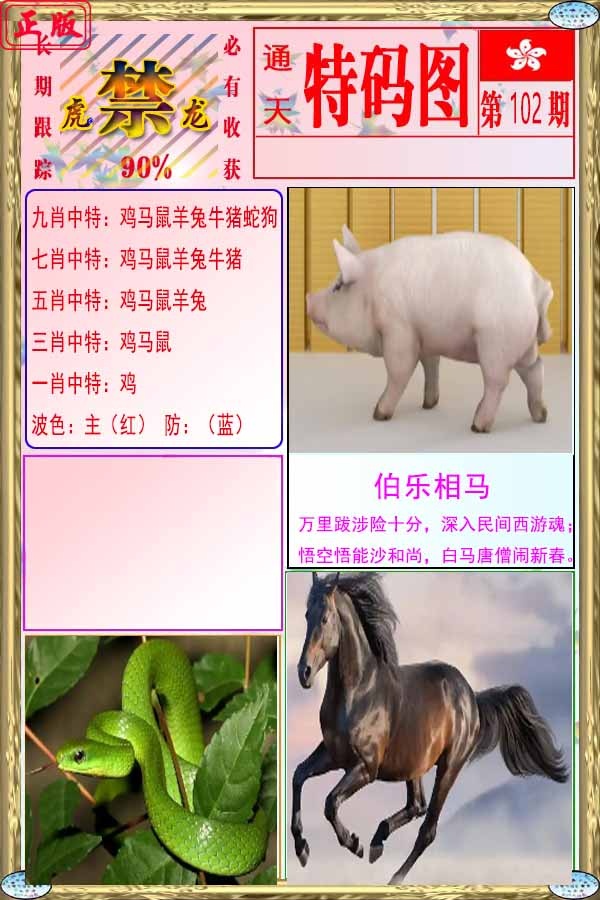六合彩102期特码图