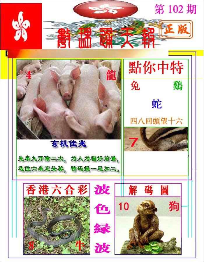 六合彩102期数理通天