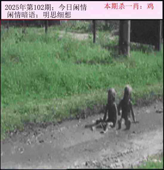 六合彩102期今日闲情