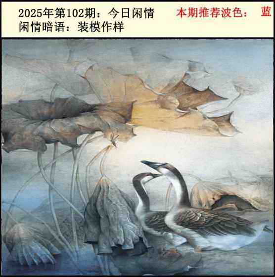 六合彩102期今日闲情2