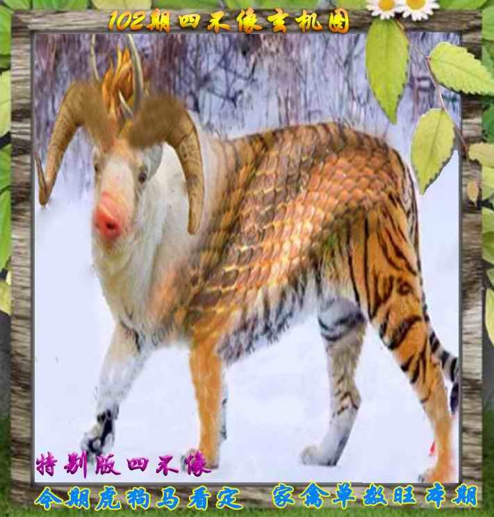 六合彩102期四不像特别版