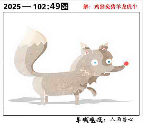 六合彩102期49图