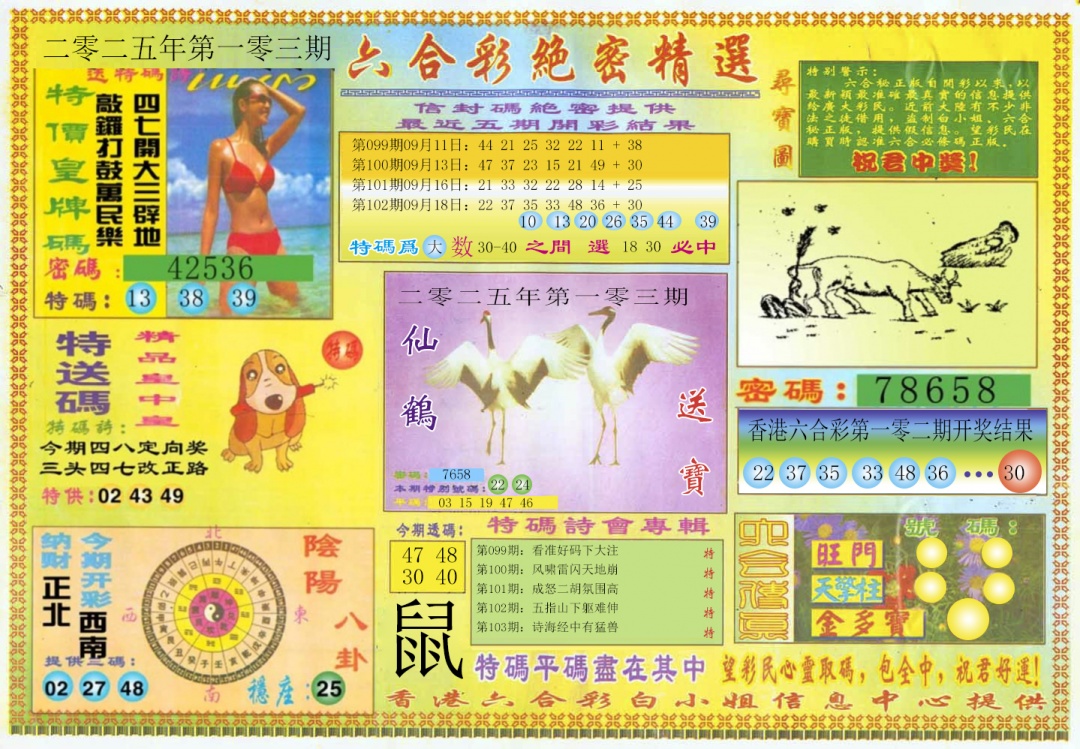 六合彩103期绝密精选A