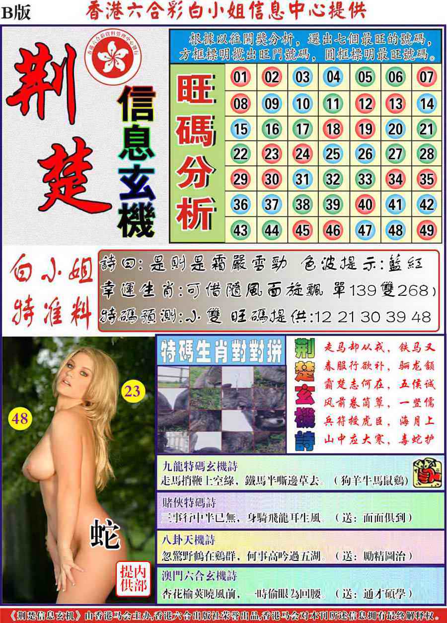 六合彩103期荆楚信息玄机B