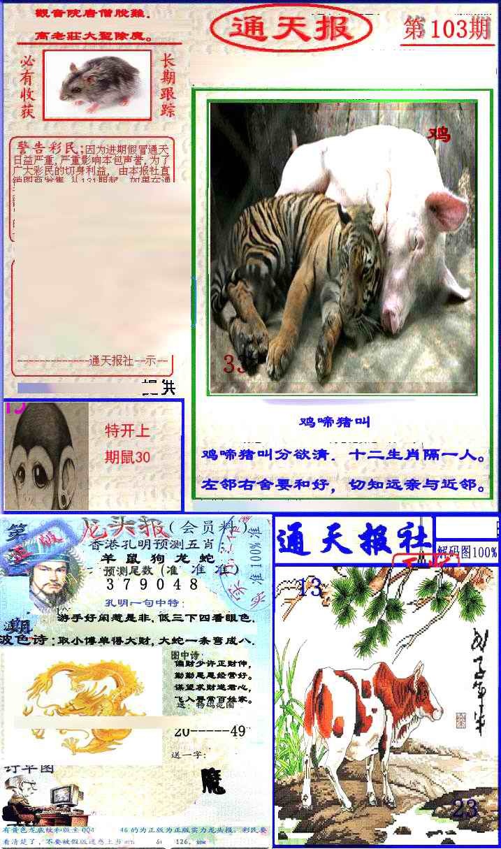六合彩103期实力通天报