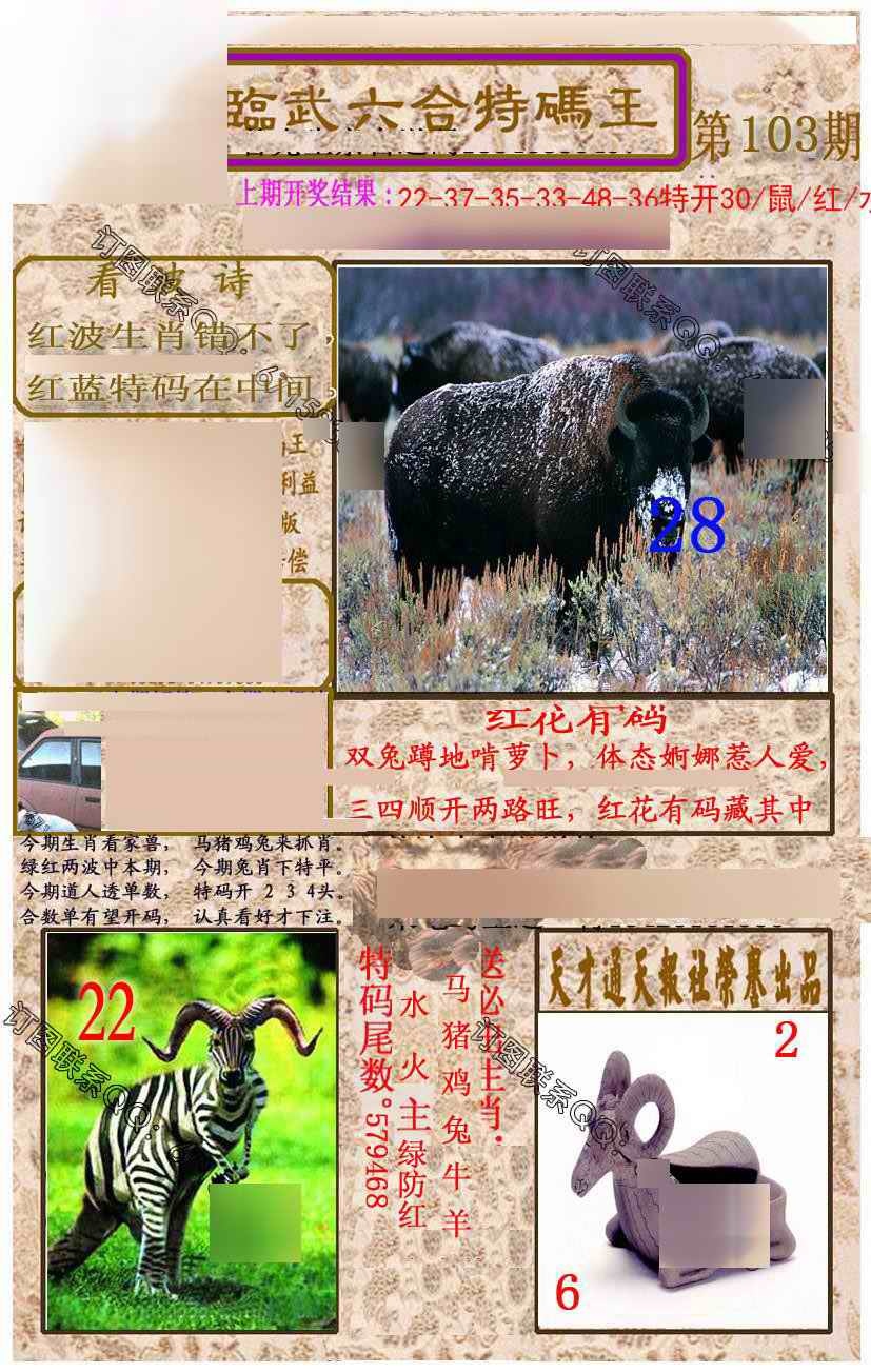 六合彩103期临武六合特码王