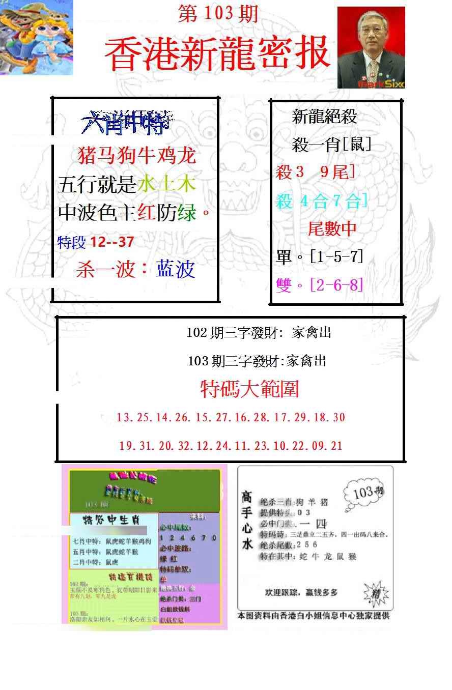 六合彩103期新龙密报