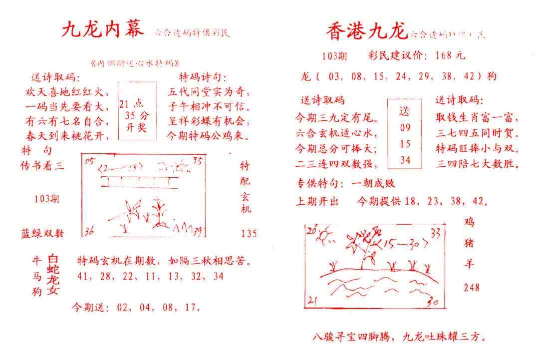 六合彩103期九龙内幕